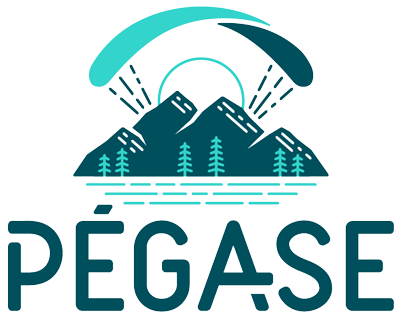 Pegase & Particule